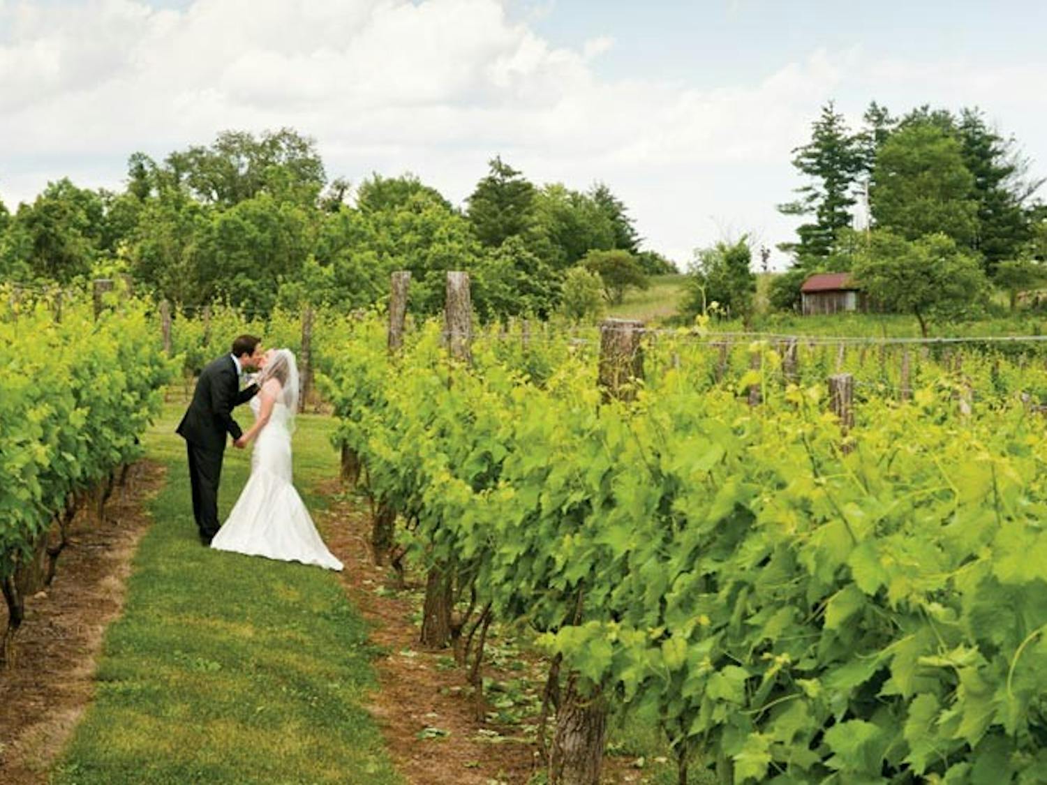 Local wedding planner captures 'soul' in her wedding