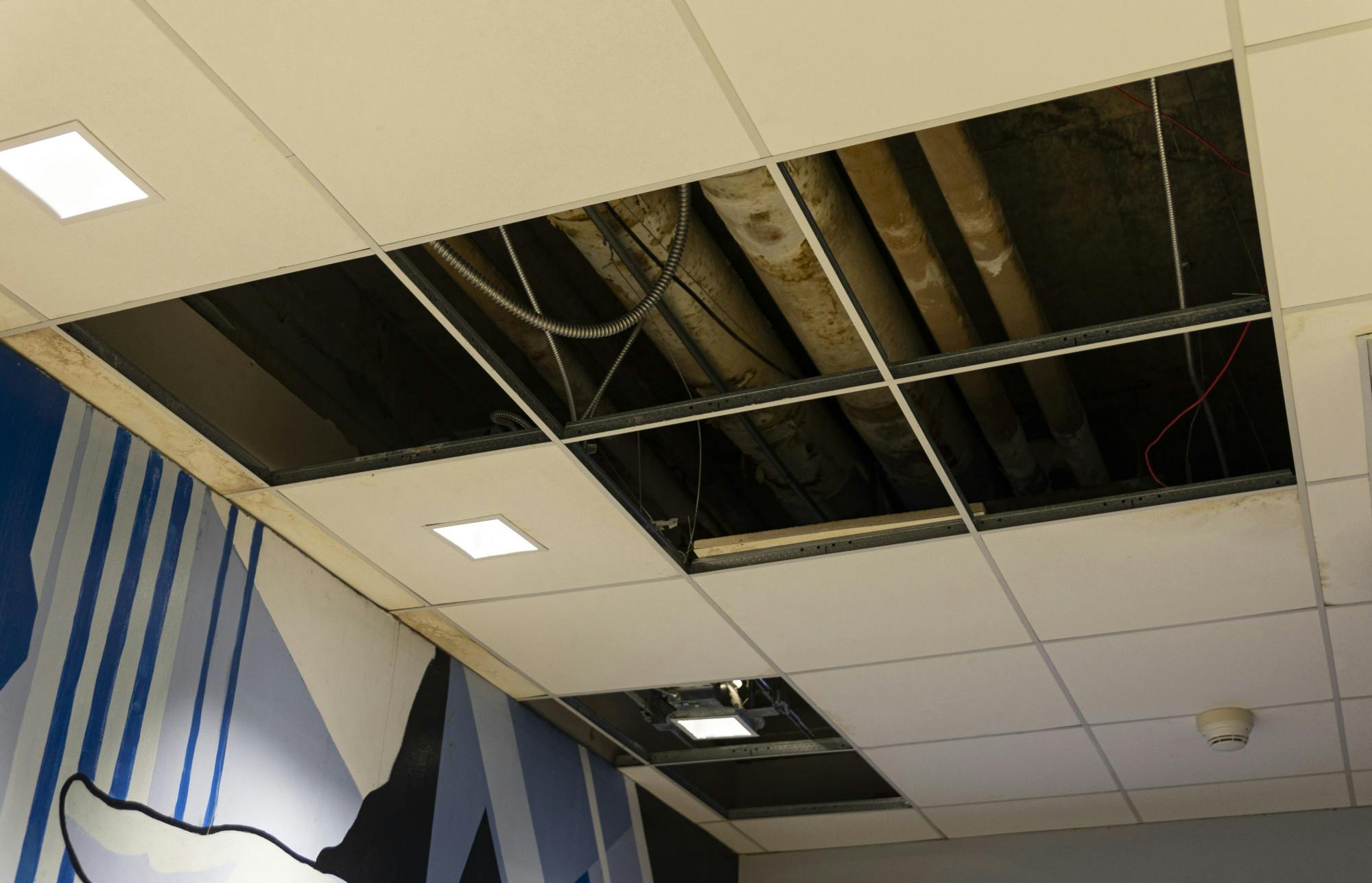 LeakyBuildings_Herx.jpg