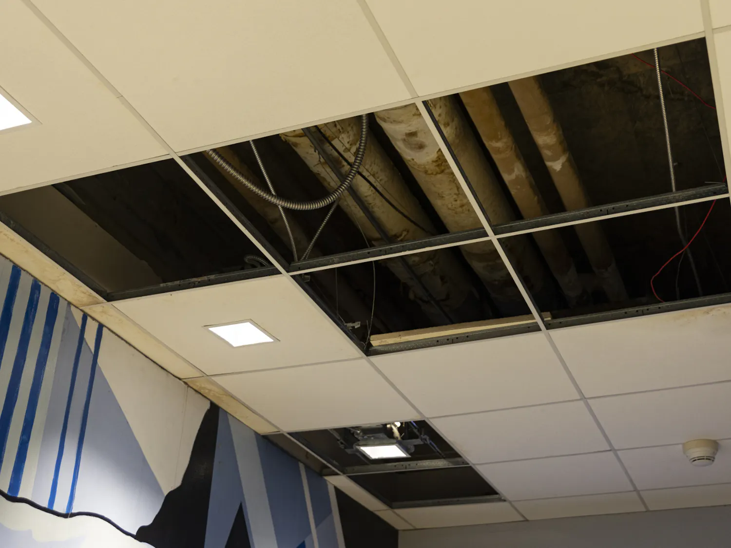 LeakyBuildings_Herx.jpg