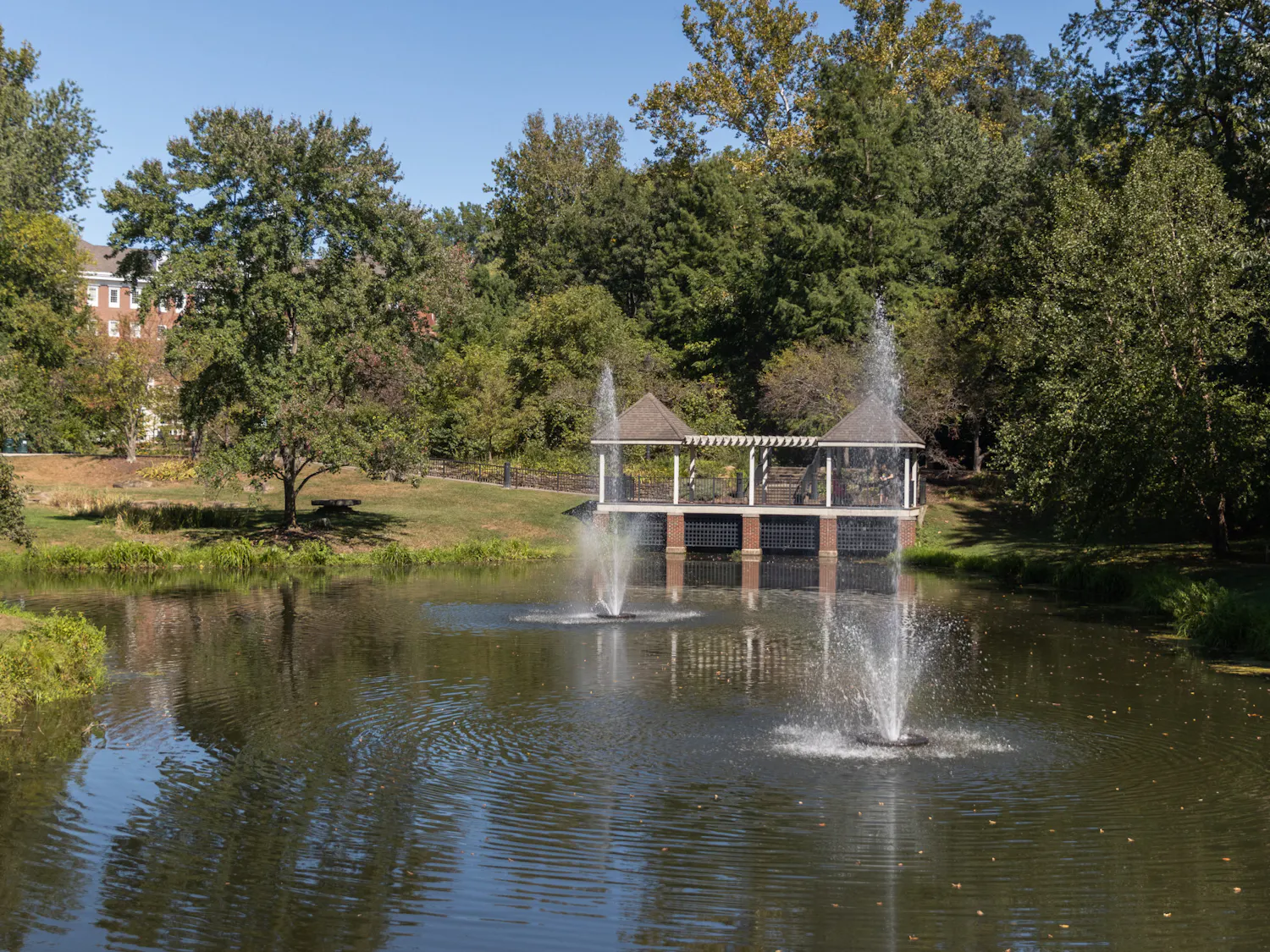 Bobcats Making a Difference_EmeritiPark_9_17_23_Herx.jpg