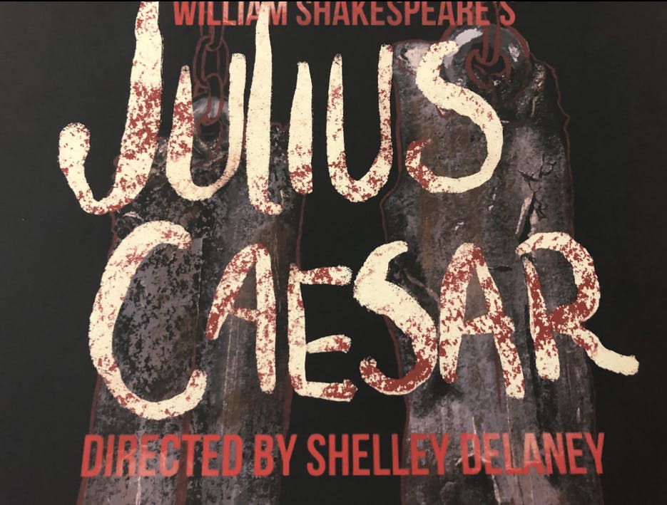 Julius caesar provided