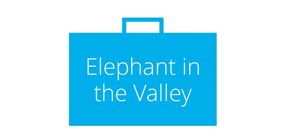 Elephant in the Valley survey  