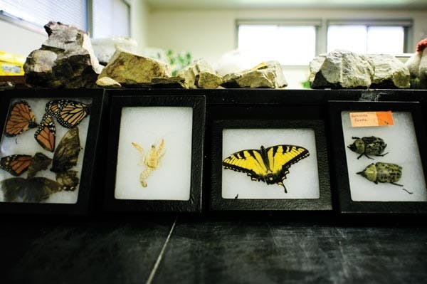 Wildlife center seeks funds, volunteers  