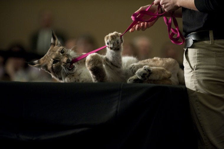 Jack Hanna champions exotic animal regulation law  