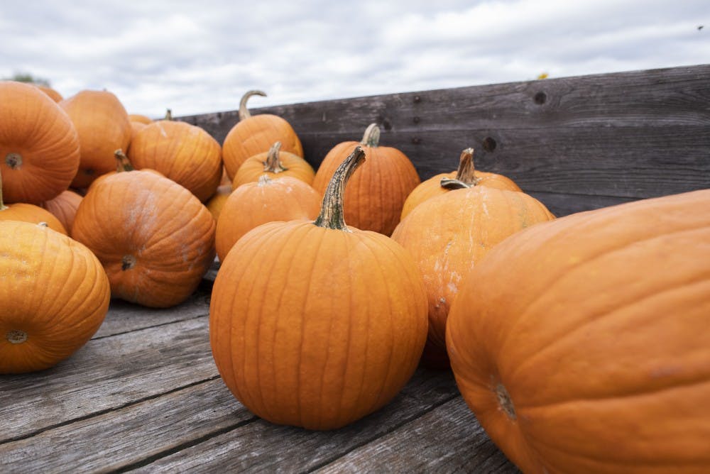 Athens Pumpkins 04.jpg