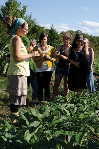 Athens residents recommend use of herbal remedies  