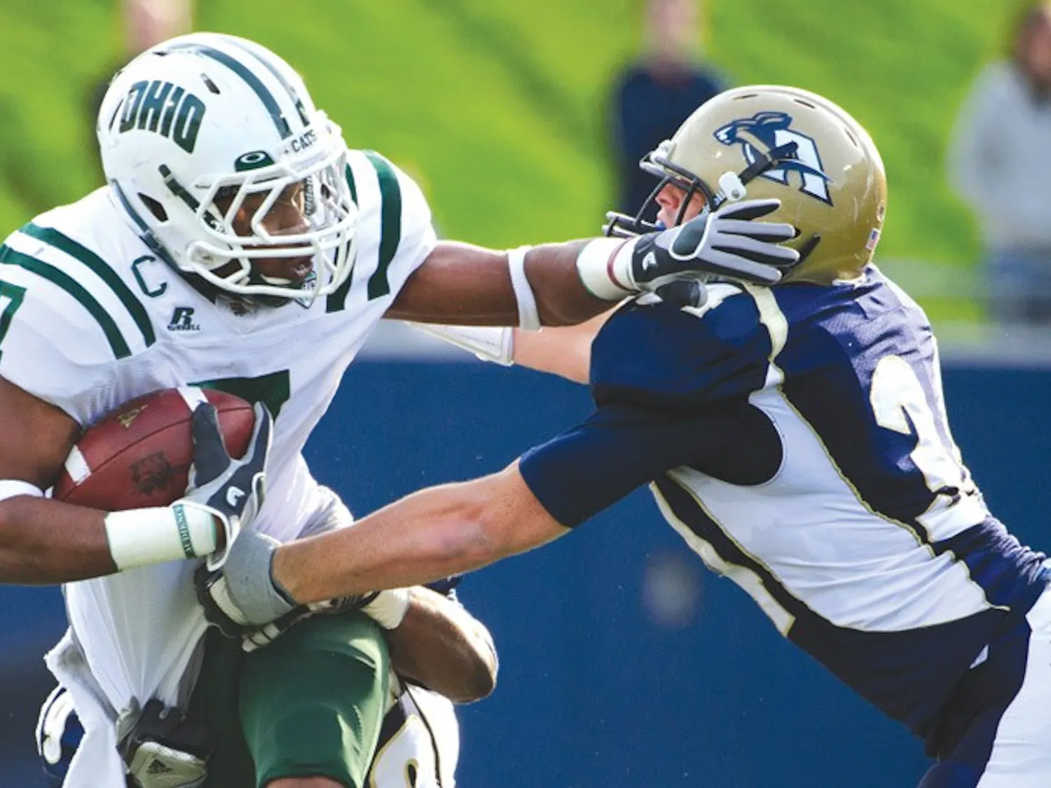 Former 'Cats work their way into NFL, CFL roles