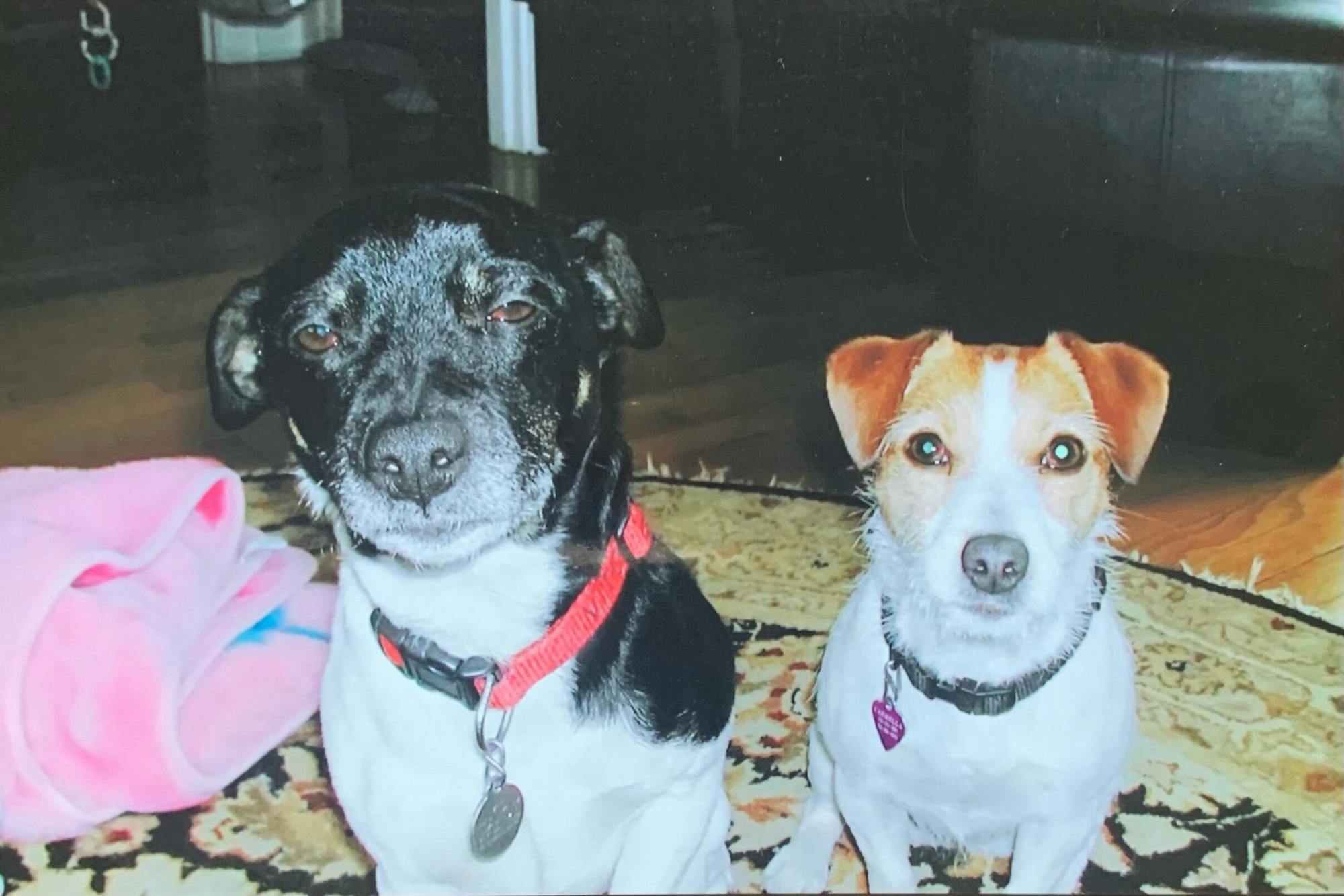 Vito and Carmela.jpg