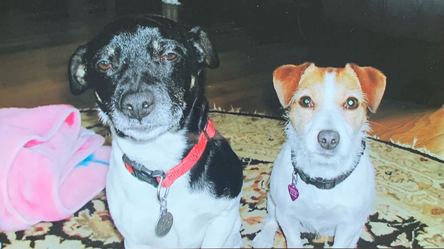 Vito and Carmela.jpg