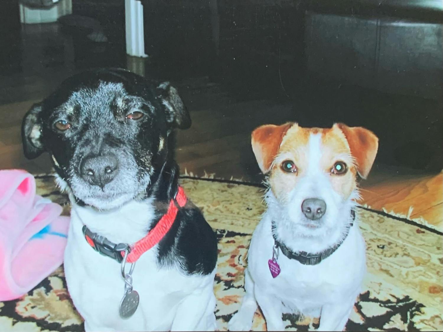 Vito and Carmela.jpg