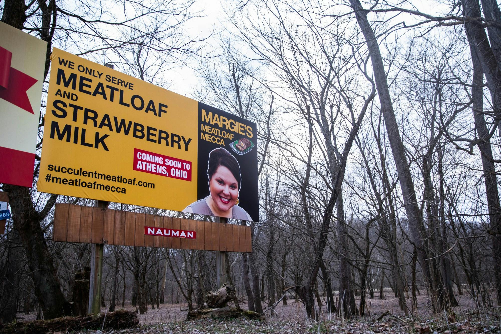 untitled (1 of 1).jpg