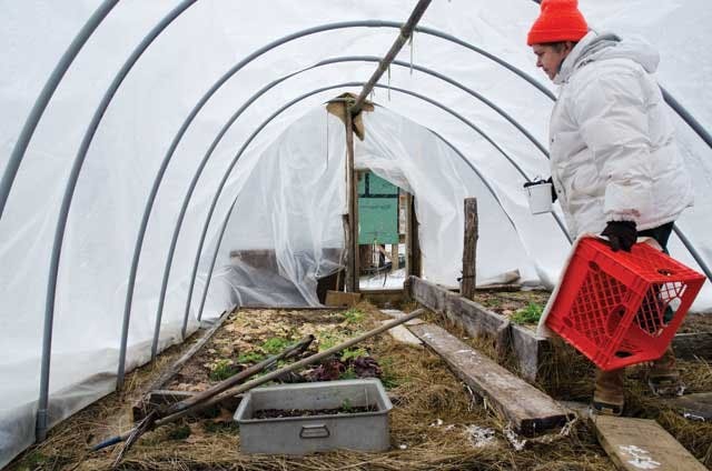 Winter Farming: Athens farm plans to teach sustainability, permaculture way of living  