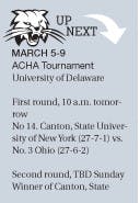 Hockey: Odds favor homey 'Cats in Fighting Illini matchup  