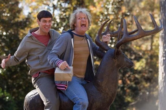 Dumb and Dumber To  