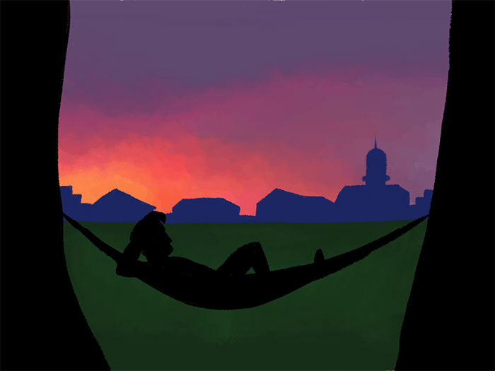 hammock_illustration.png