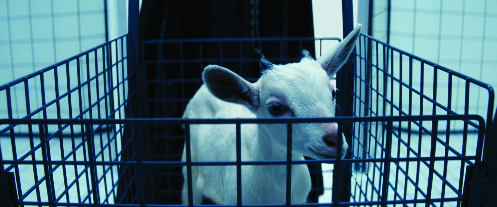 "Severance," now streaming on Apple TV+. Accessed via Apple TV+ Press.&nbsp;