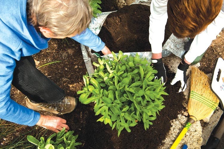 Floral flock adorns Athens' streets  