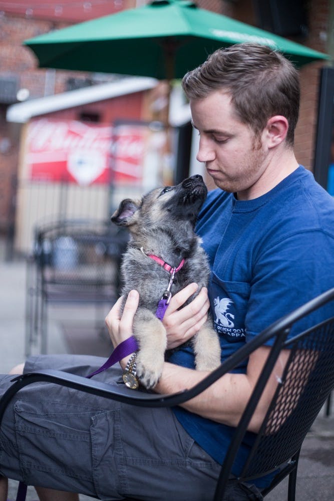 Emotional Support Dog