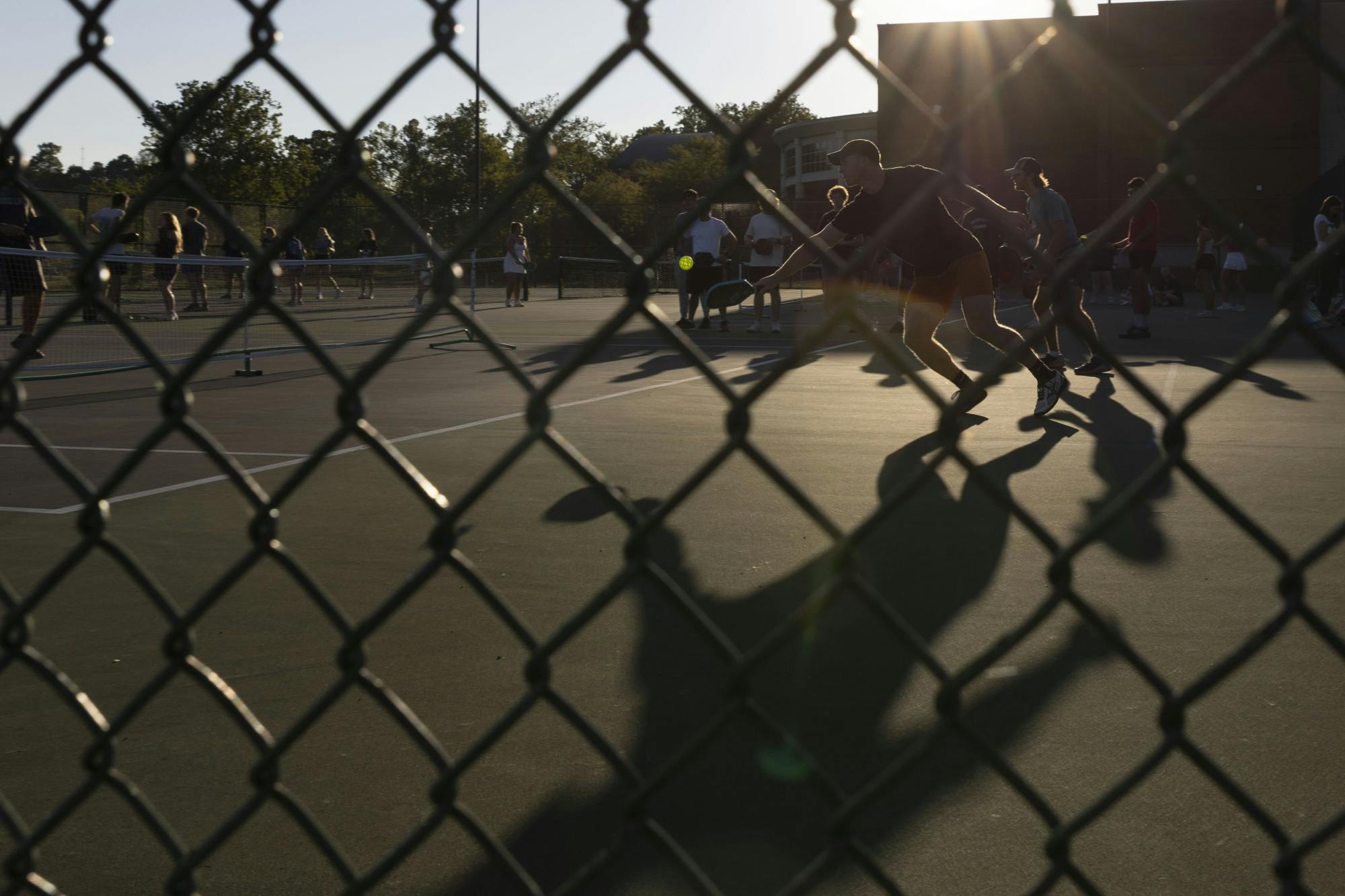 Pickleball Club_9-11-2024_Maloy_Talitha_0004.jpg