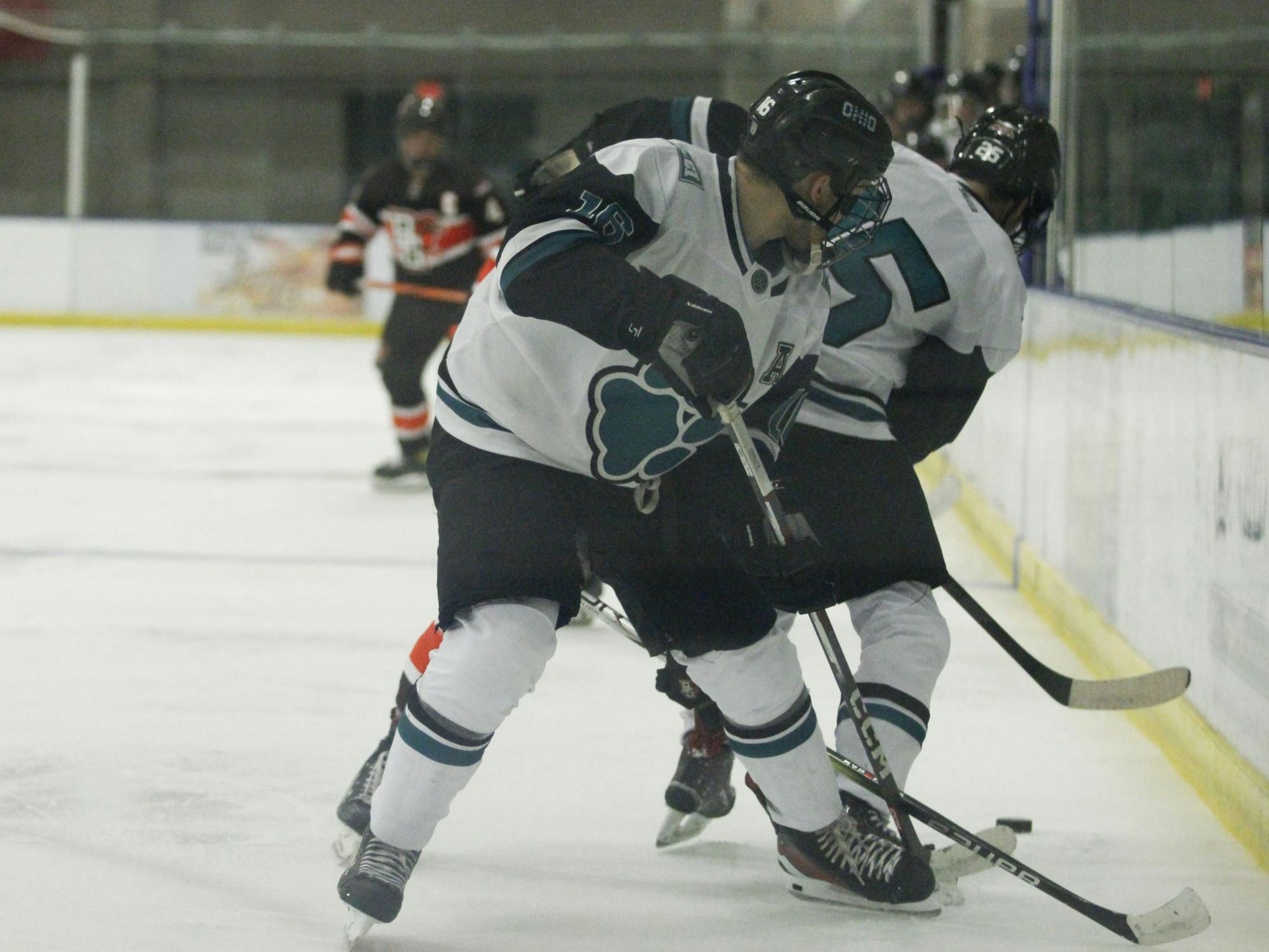 D2 Hockey Weekend recap…Adams_Lipstreu _ Gladwell154.JPG