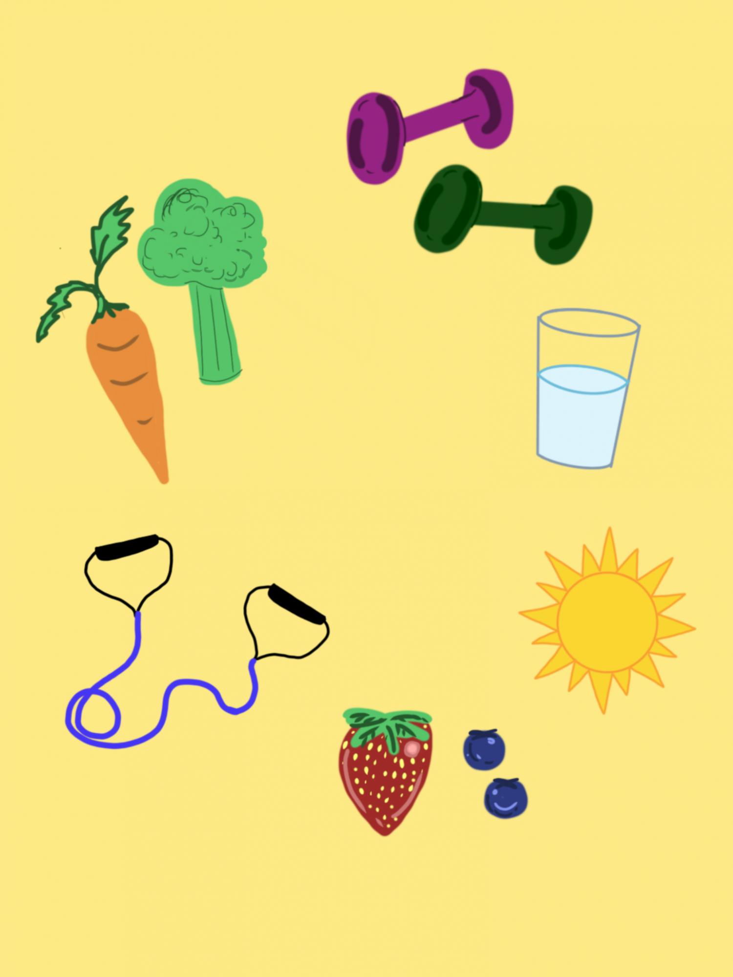 Copy of IMG_0100.PNG