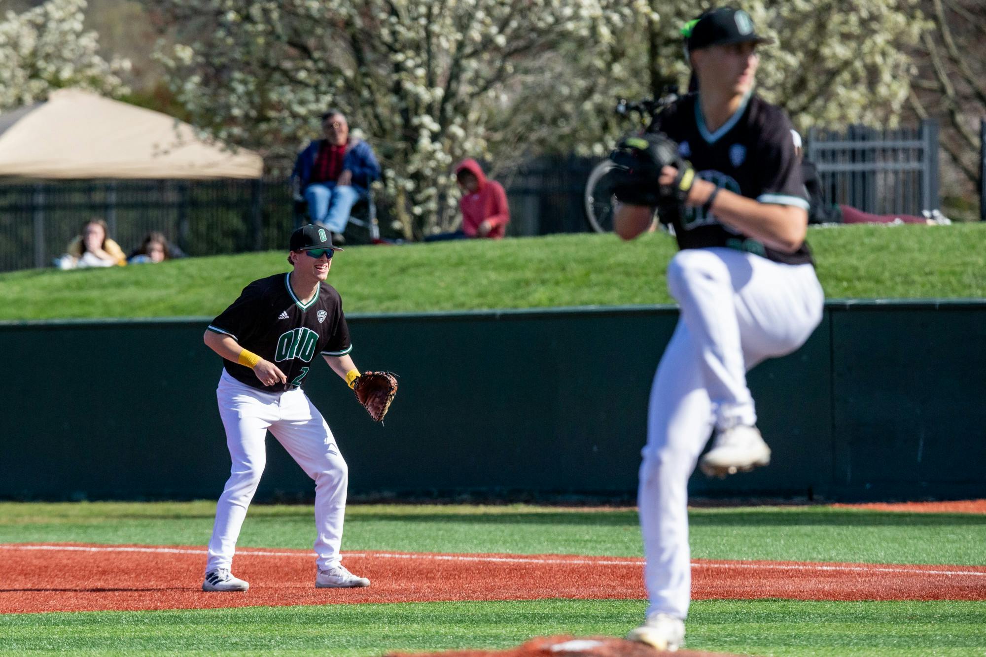 Toledo 4.10_1_Jarrold-Grapes.jpg