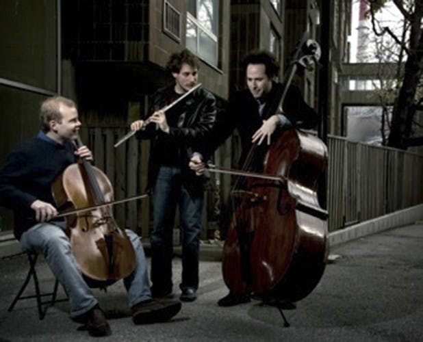 PROJECT Trio will provide a unique musical experience for concert-goers on Wednesday  