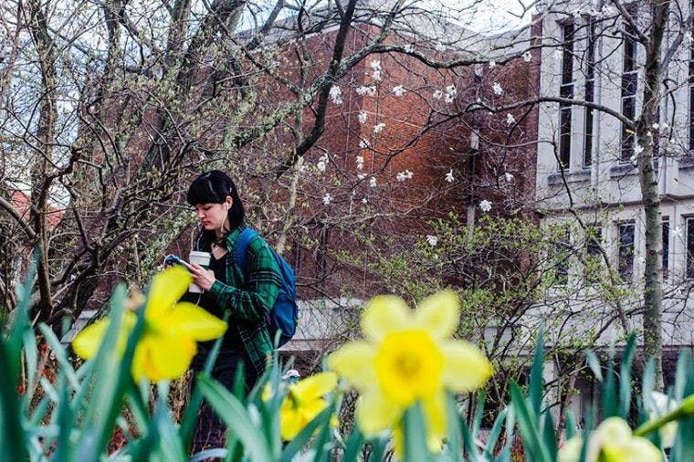OU strategizes flora landscaping to enhance scenery, recruitment  