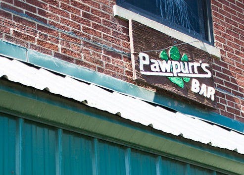 Pawpurr’s Bar  