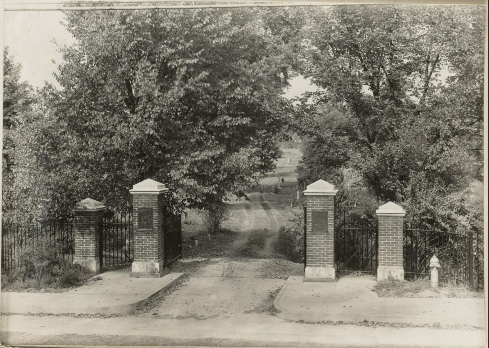 Screen Shot 2020-11-24 at 3.56.41 PM.png