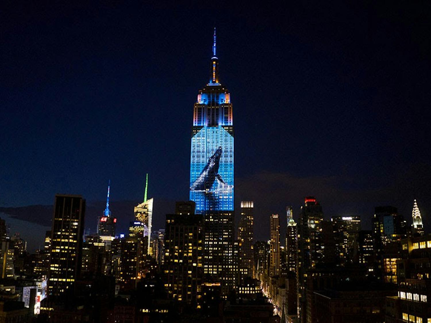 Racing Extinction