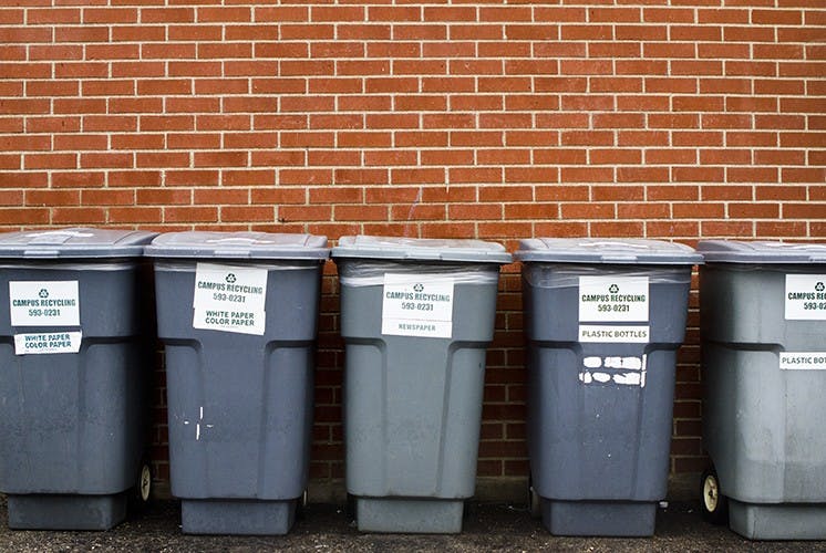 International Earth Day  