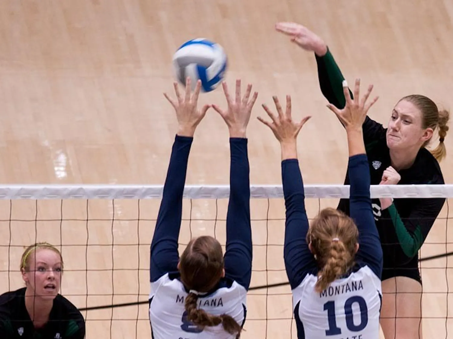 Volleyball: Bobcats look to extend winning streak against Kent State
