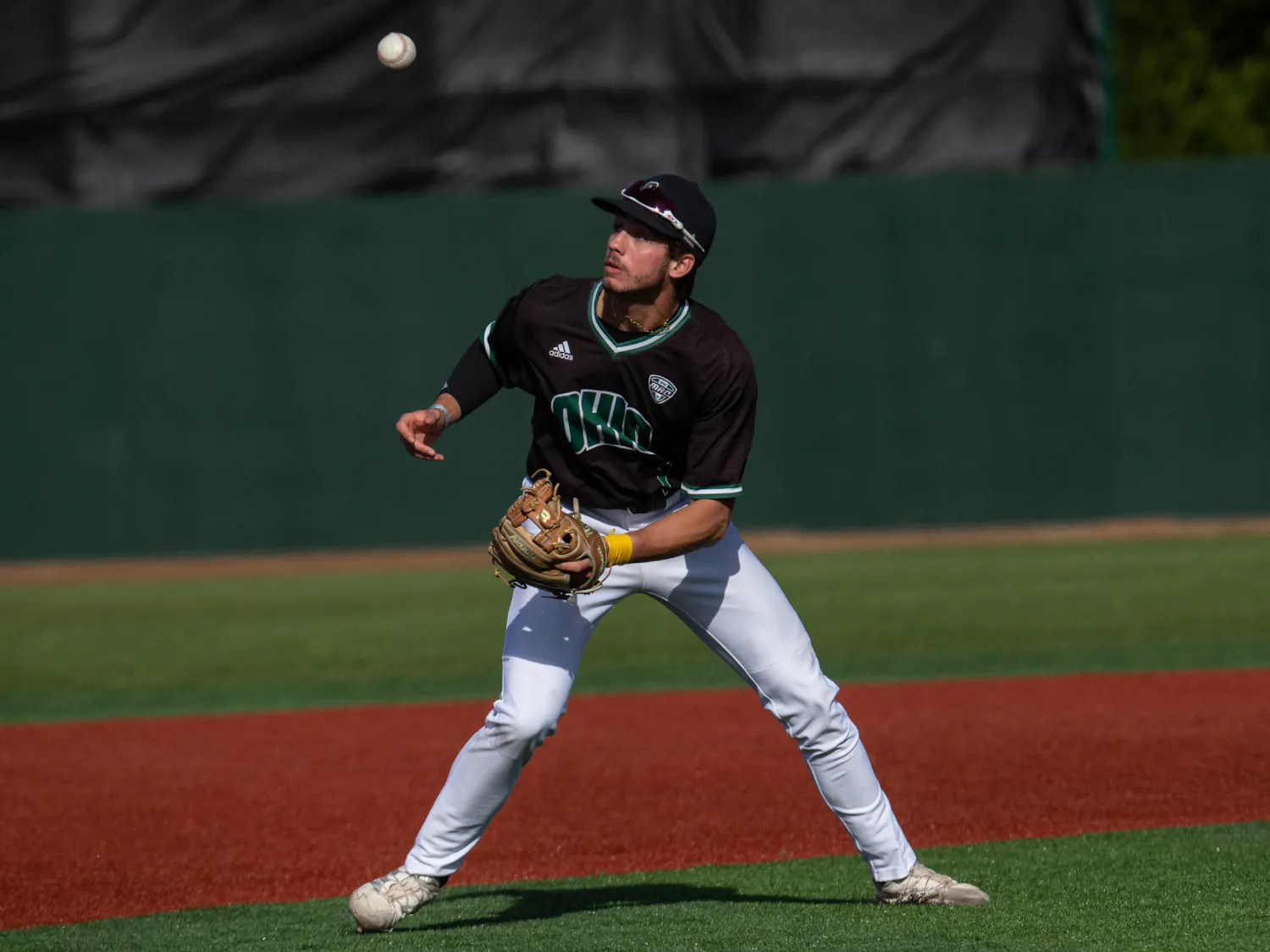 Toledo 4-10_Jarrold-Grapes-23.jpg