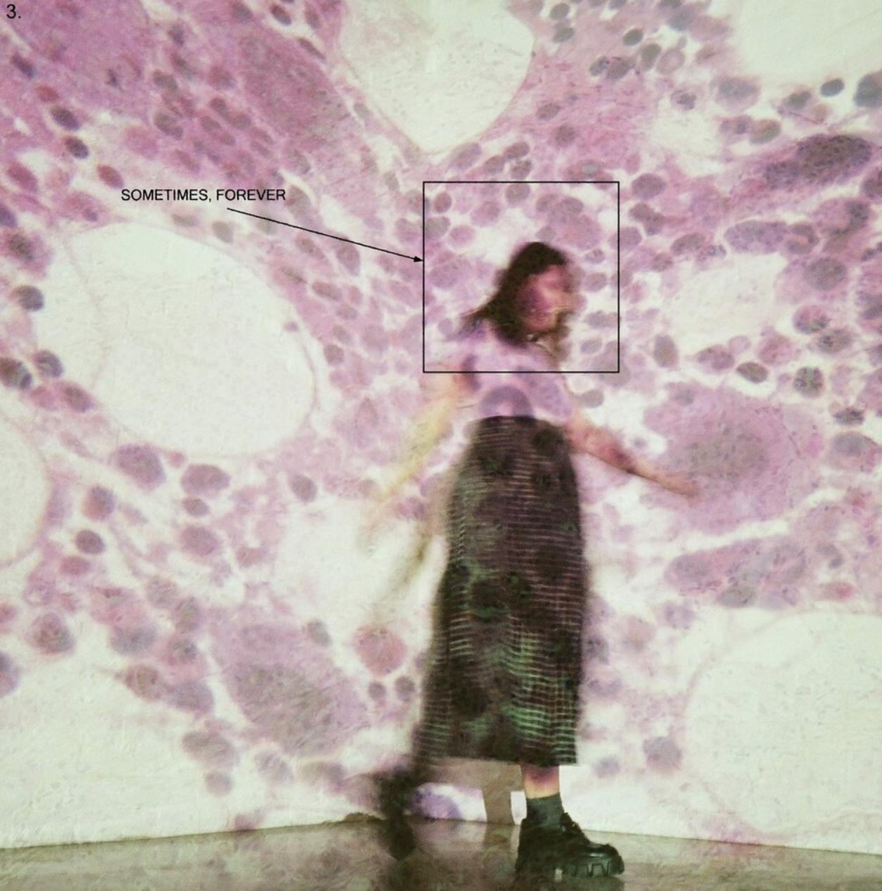 Screen Shot 2022-08-30 at 9.14.09 PM.png