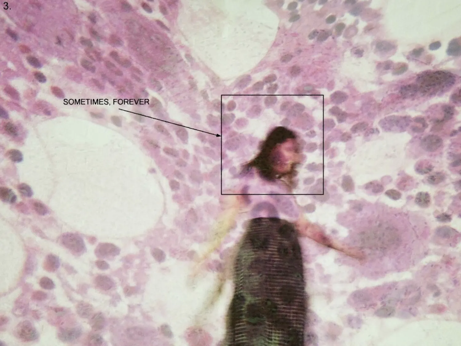 Screen Shot 2022-08-30 at 9.14.09 PM.png