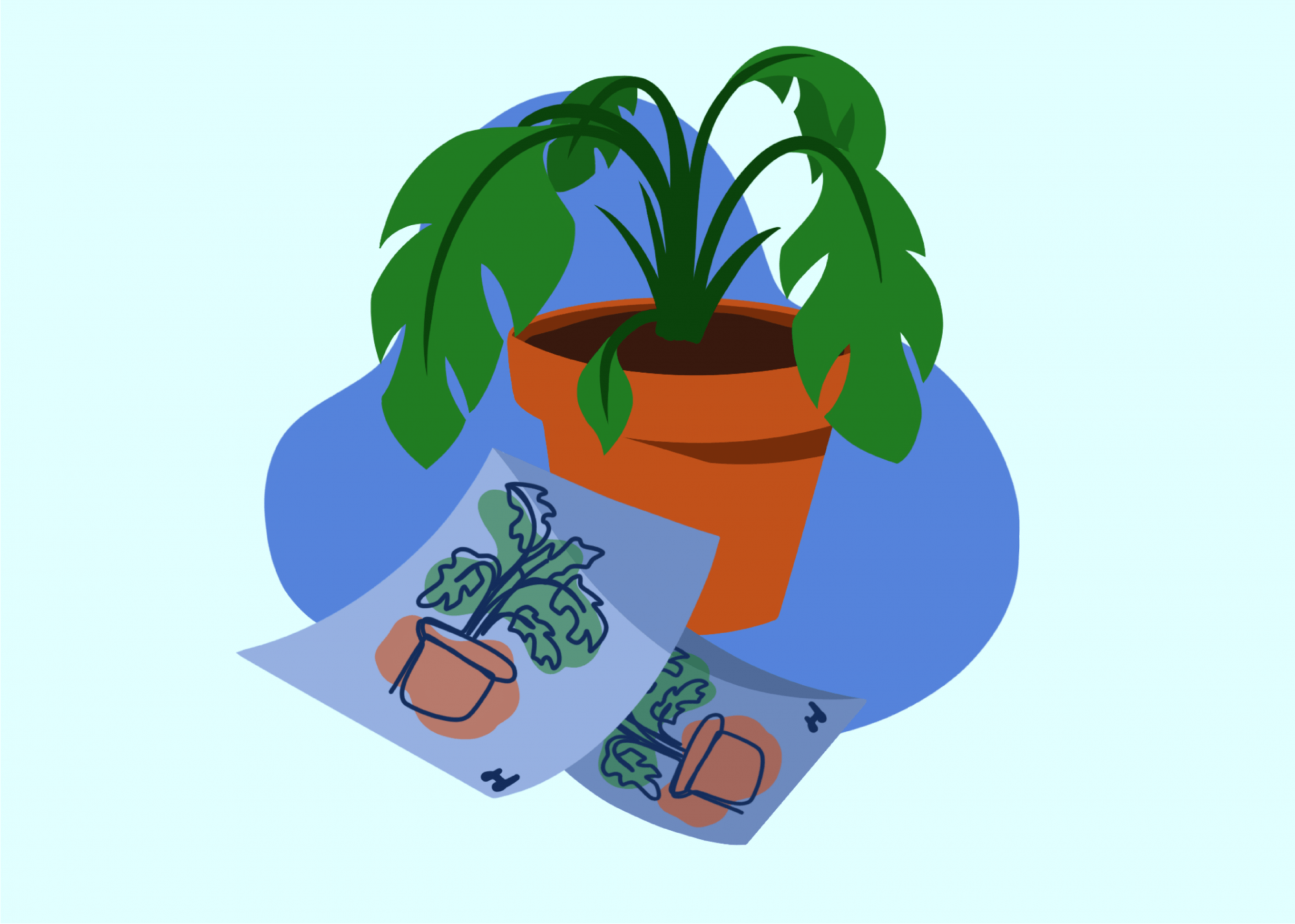 plants-01.png