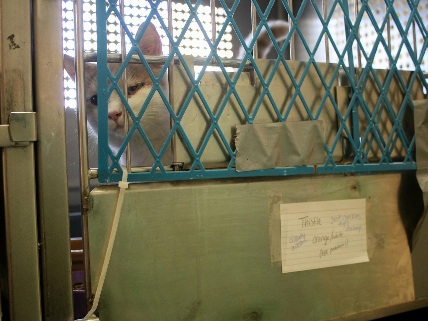 CovidShelters_Millar