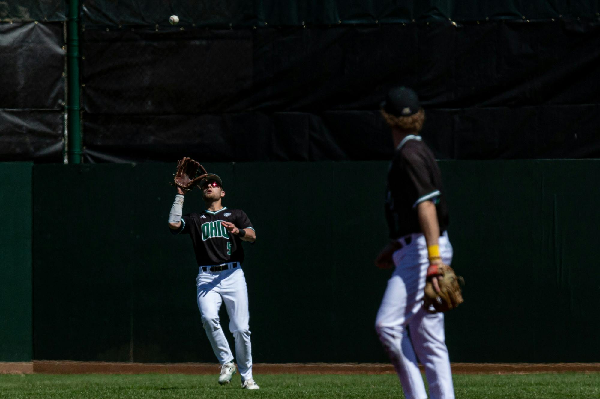 Toledo 4-10_Jarrold-Grapes-8.jpg