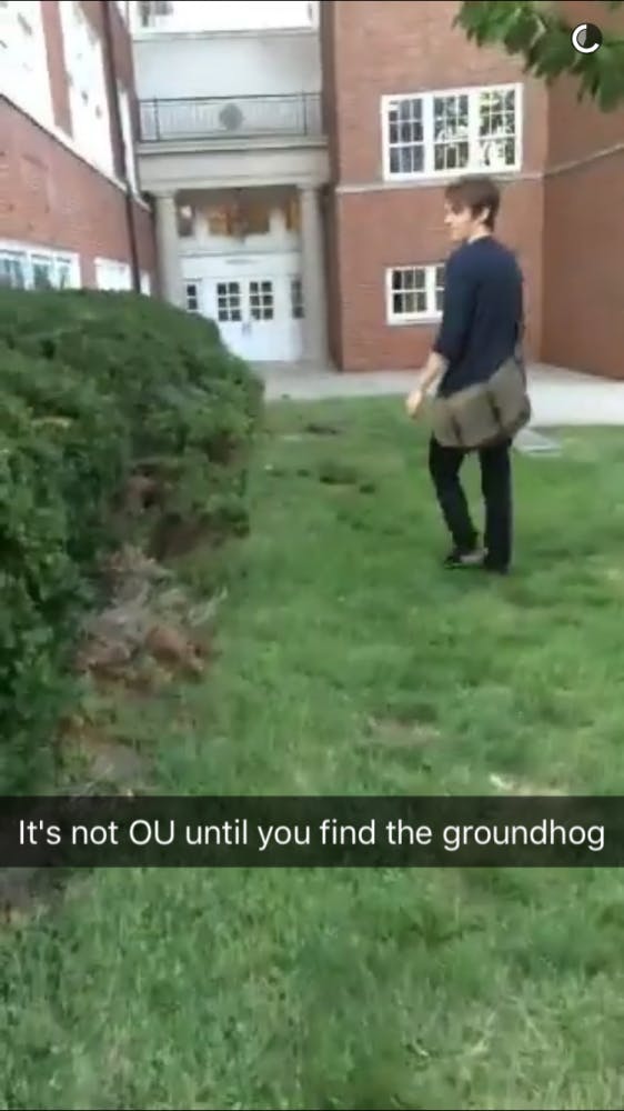 Groundhog Snapchat  