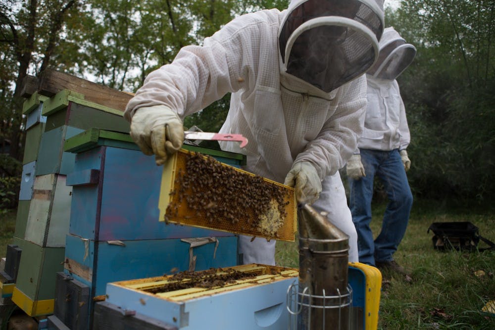 Beekeeper, Michael McAvoy, checks on his bees at his apiary on October 15, 2016. "MICHAEL JOHNSON | FOR THE POST"