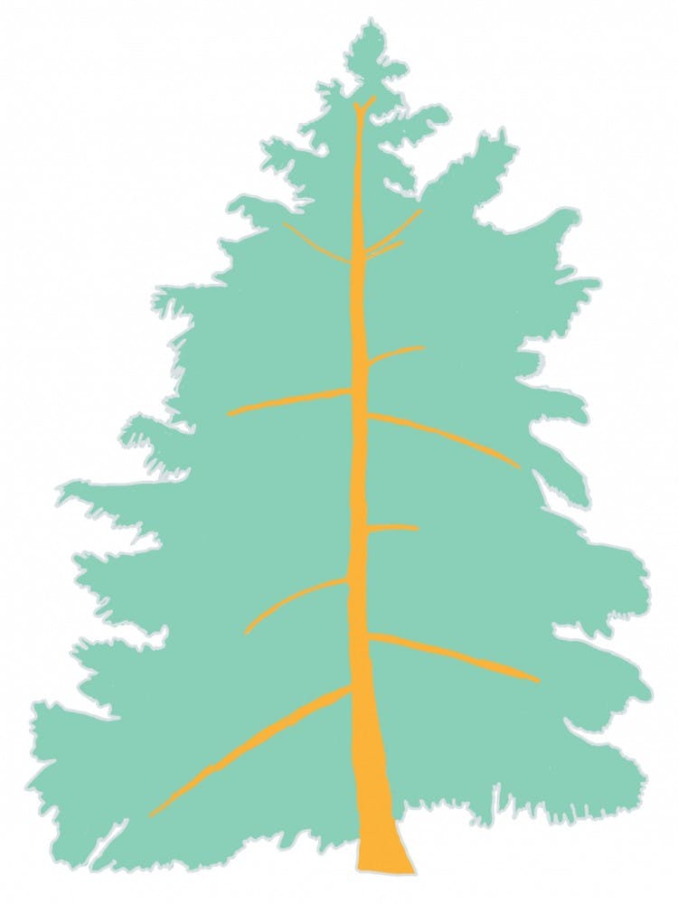 HemlockTree (12-13).jpg