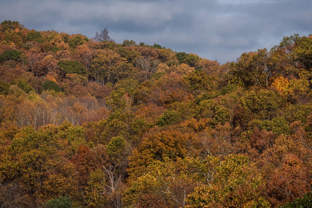 Wayne National Forest