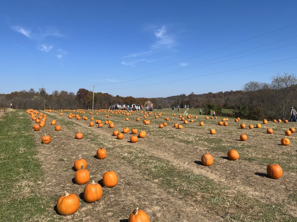 Libby’s pumpkin patch offers fall fun for southeast Ohio