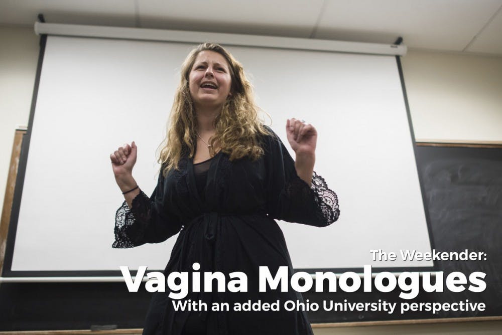 Vagina Monologues Banner  