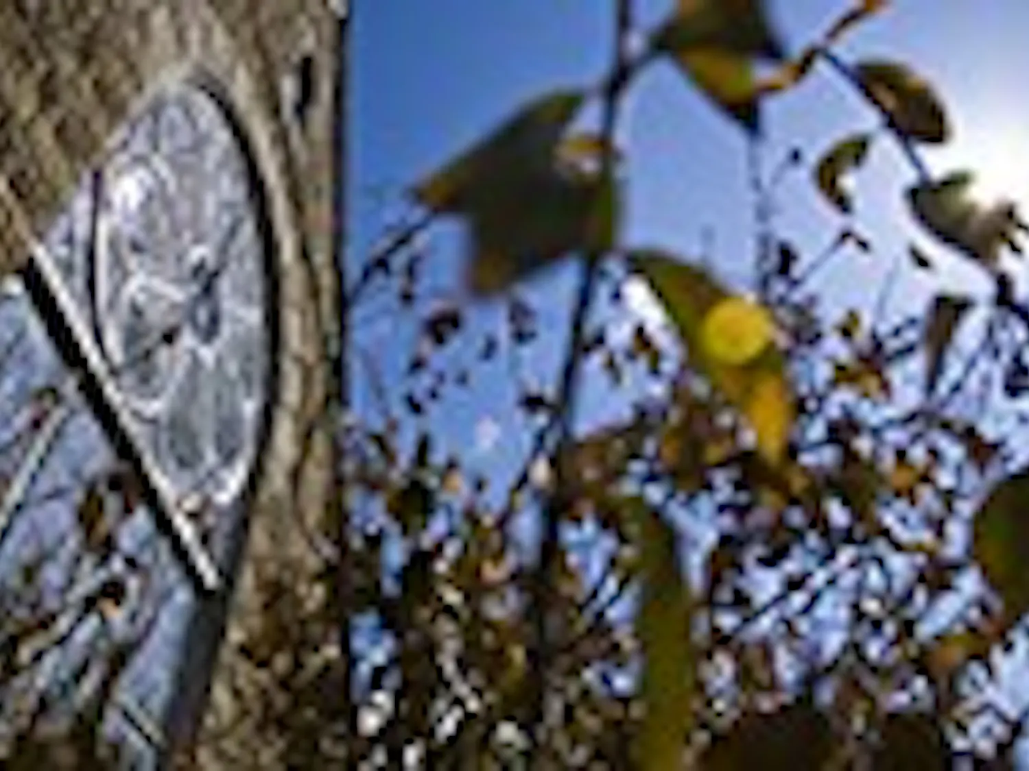 Post Modern: Holy Relics