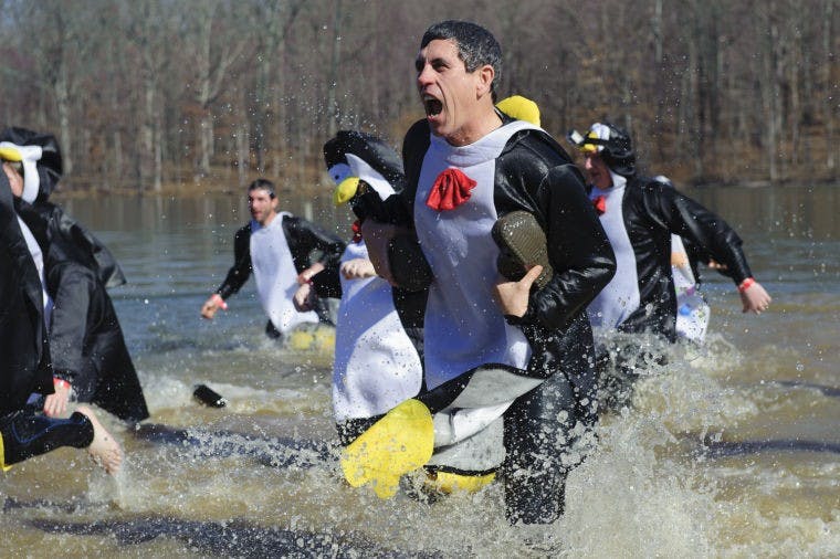 Slideshow: Polar Plunge  
