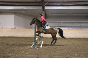 horse jumping 1