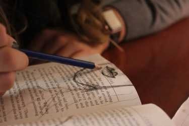 Don't Judge a Book by Its Cover