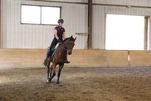 A rider practices dressage with their horse. They are in an arena.